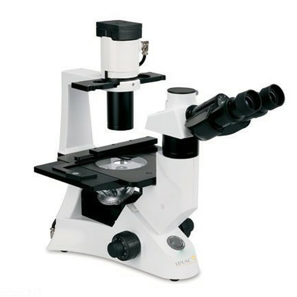 Inverted Microscope Uganda, Manufacturers, Suppliers & Exporters in Uganda